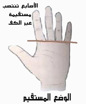 26363alsh3er.jpg